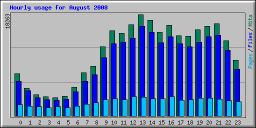 Hourly usage for August 2008